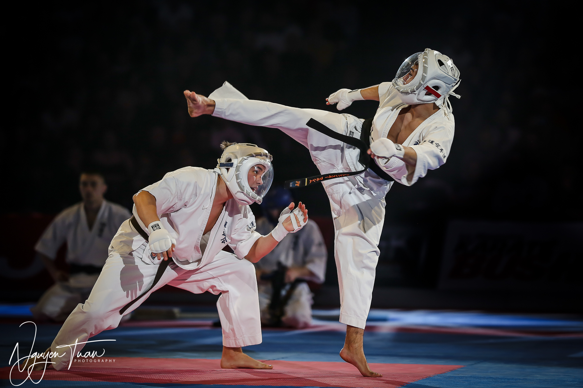 20190324 Festival des Arts Martiaux 3159